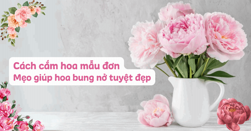 Kiểm tra độ tươi của cánh hoa và lá, bí quyết chọn hoa tặng mẹ 20/10 tươi lâu